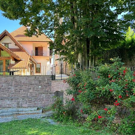 Casa Rural Roncesvalles Espinal-Auzperri Ngoại thất bức ảnh