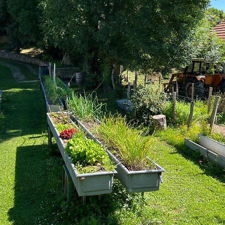 Casa Rural Roncesvalles Espinal-Auzperri Ngoại thất bức ảnh
